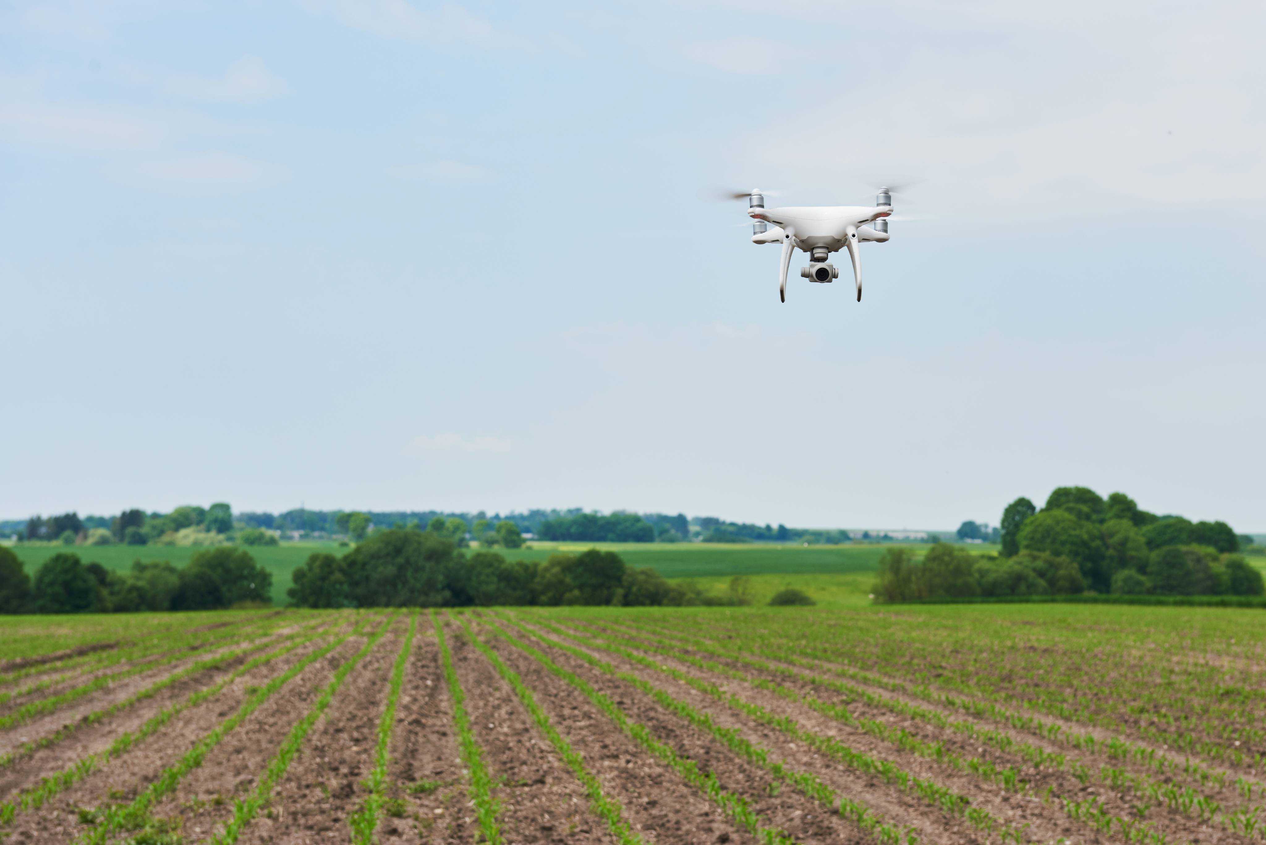 Drone over a farm