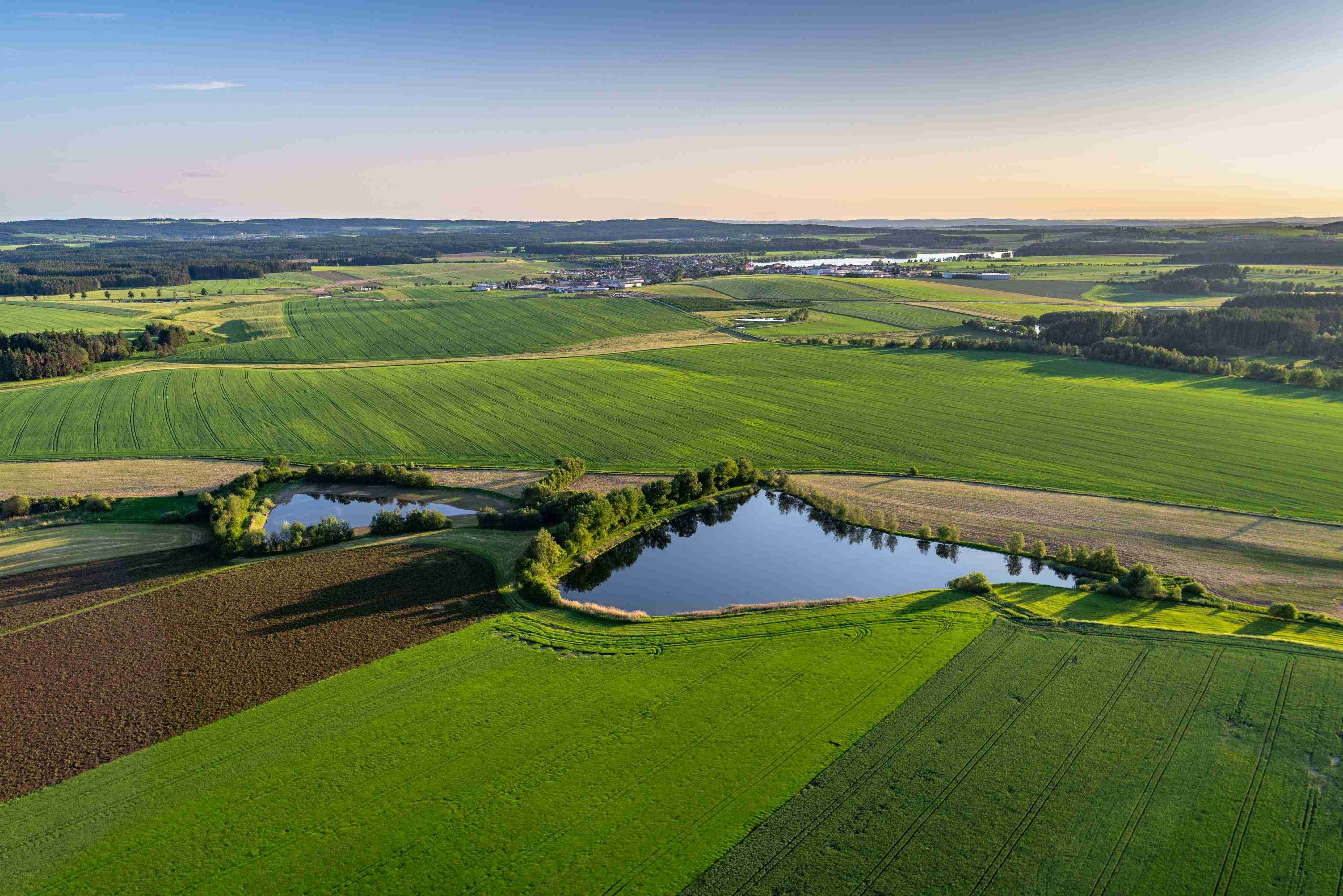 Farmland at sunrise
