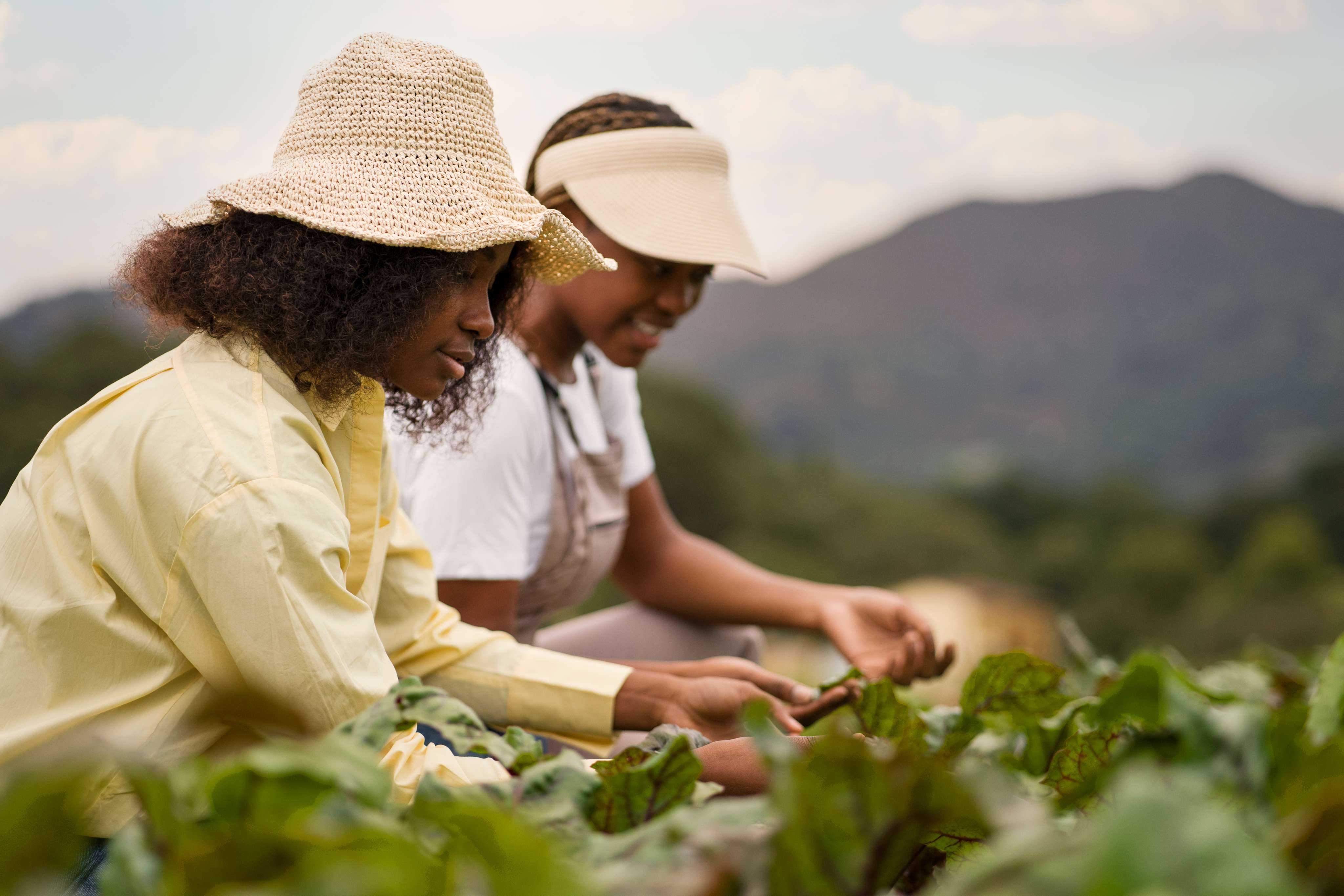 Farmer training in the field